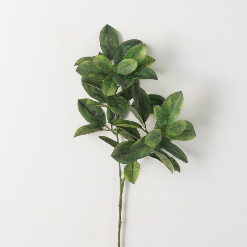 Laurel Leaf Spray
