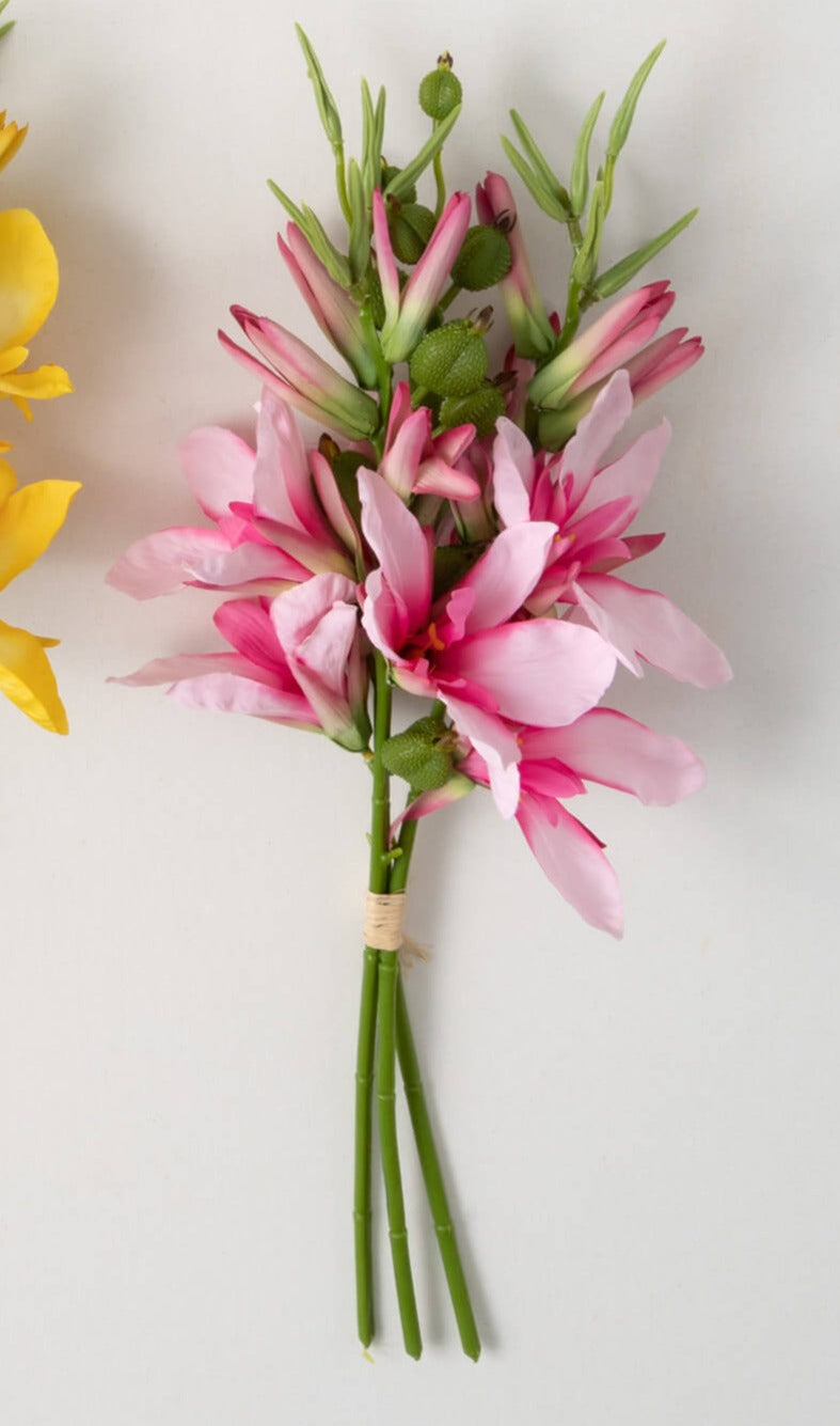 Orchid Bush
