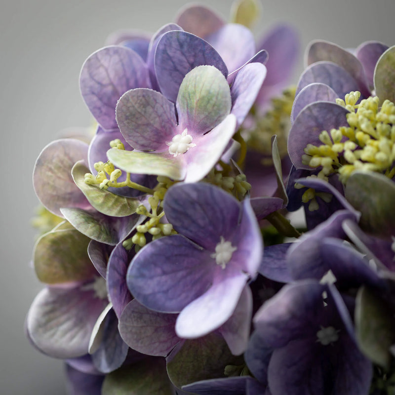 Lavender Hydrangea Bush