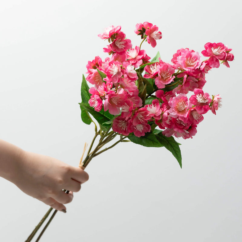 Pink Blossom Bush
