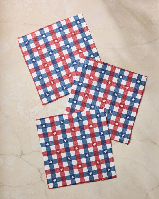 Geometry Dishcloth Set - Bunting Check