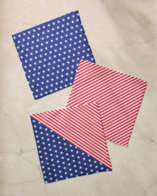 Geometry Dishcloth Set - Liberty