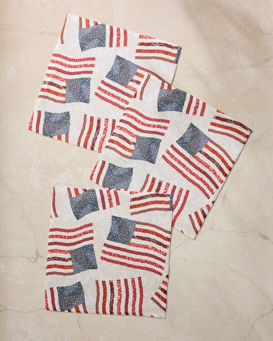 Geometry Dishcloth Set - Patchwork Pride