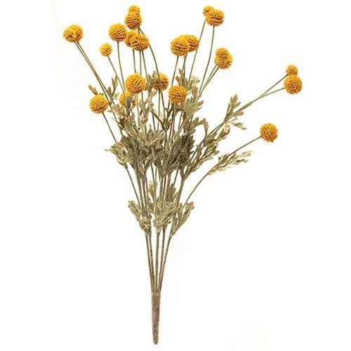 Fall Wind Dancer Bush, 23", Mustard