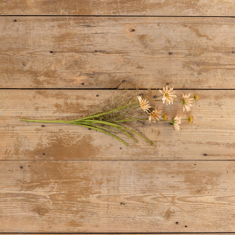 22.5" APRICOT WILDFLOWER SPRAY