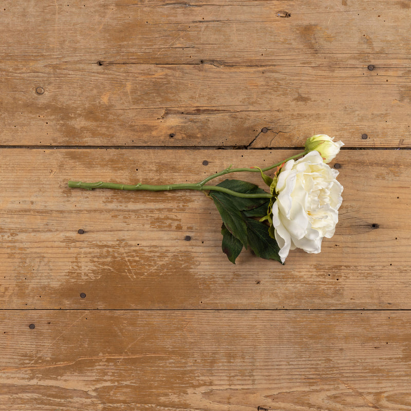 15" CREAM PEONY SPRAY