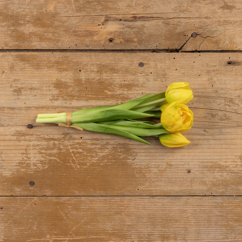 9.5" YELLOW TULIP BUSH