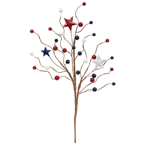Americana Star & Berry Pick