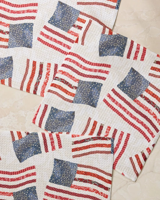 Geometry Dishcloth Set - Patchwork Pride