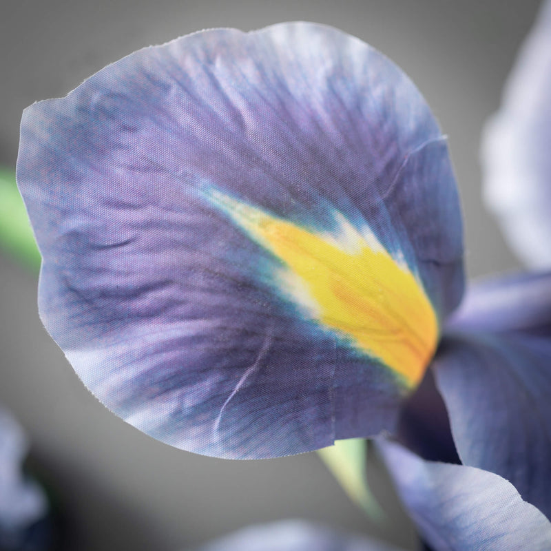 Iris Spray