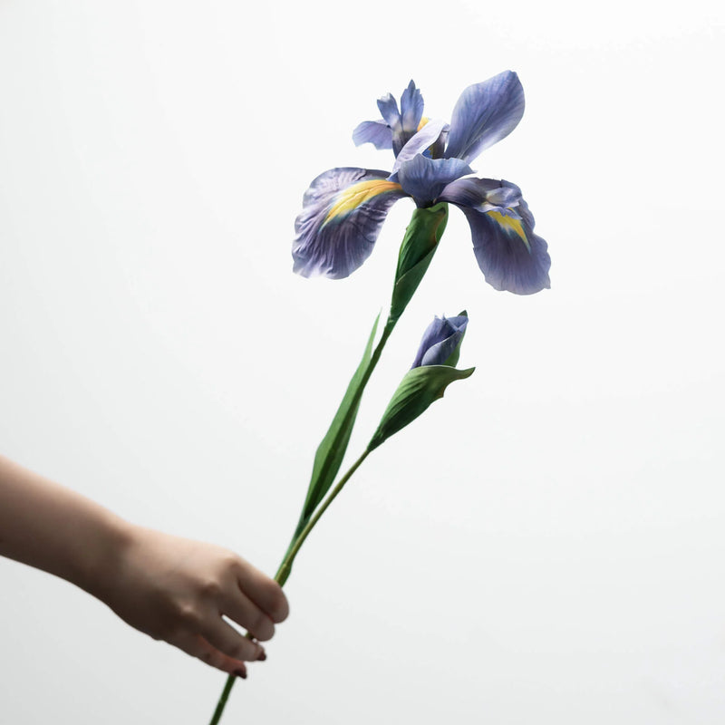 Iris Spray