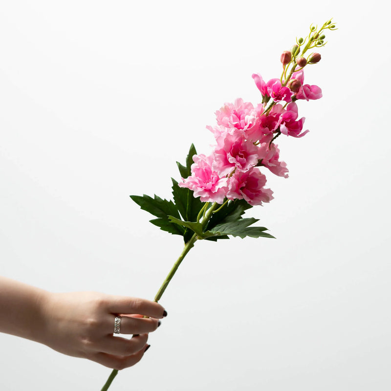 Delphinium Stem
