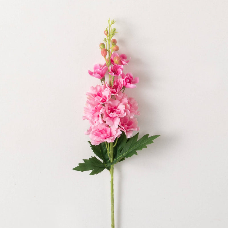 Delphinium Stem