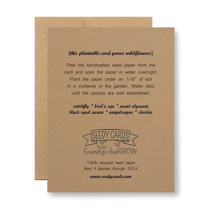 Plantable Greeting Card - ...stay safe. eat cake