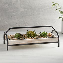 Succulent Holder