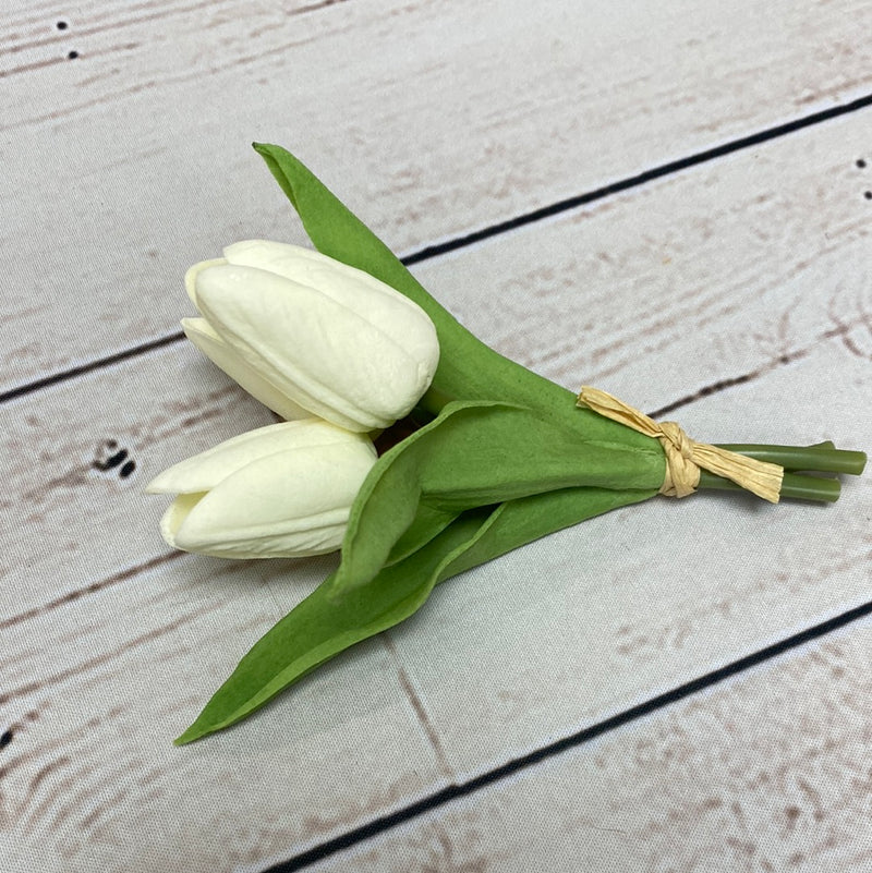 Mini Tulip Cluster