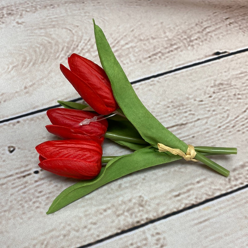 Mini Tulip Cluster